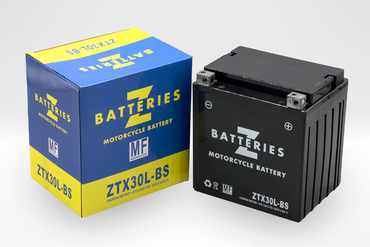 ZTX30L-BS（66010-97A/B/C/D/E(66000212)YTX30L-BS互換）